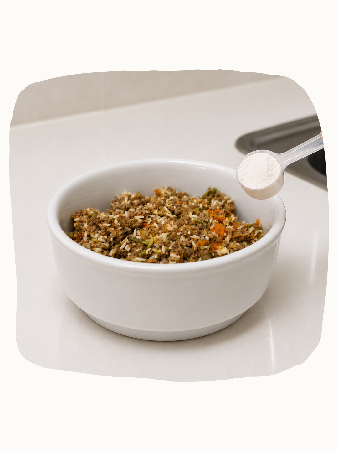 Tigela com refeição natural MPN e suplementação em pó